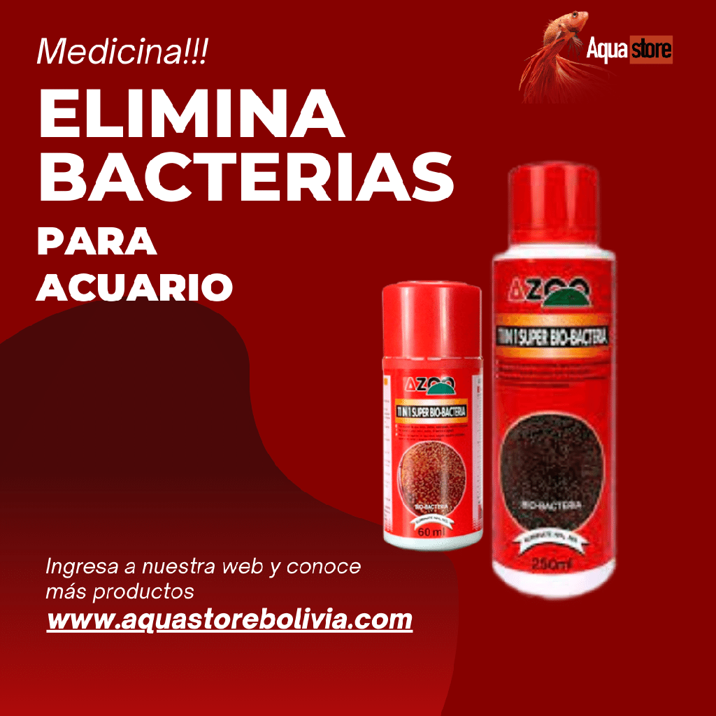 Azoo Bacteria