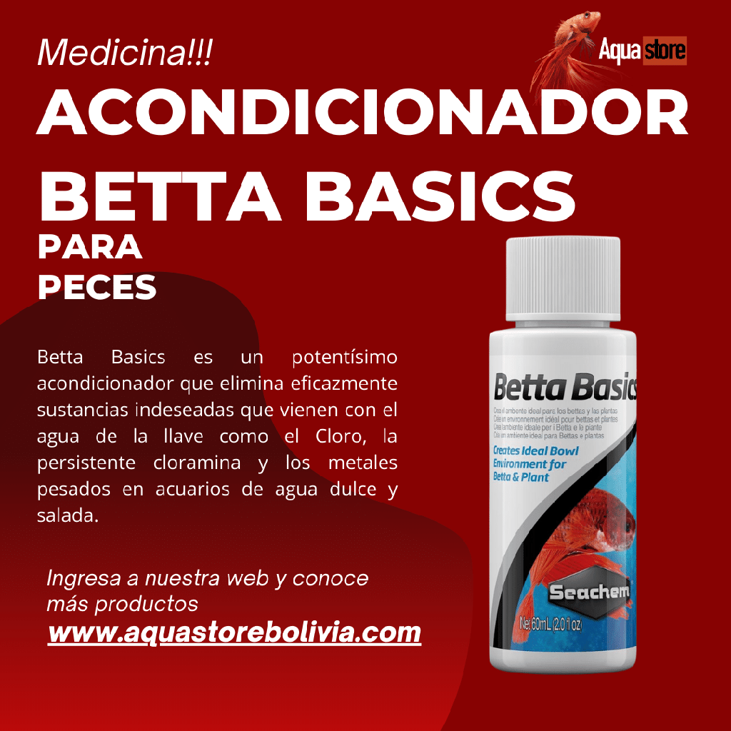 Betta Basics