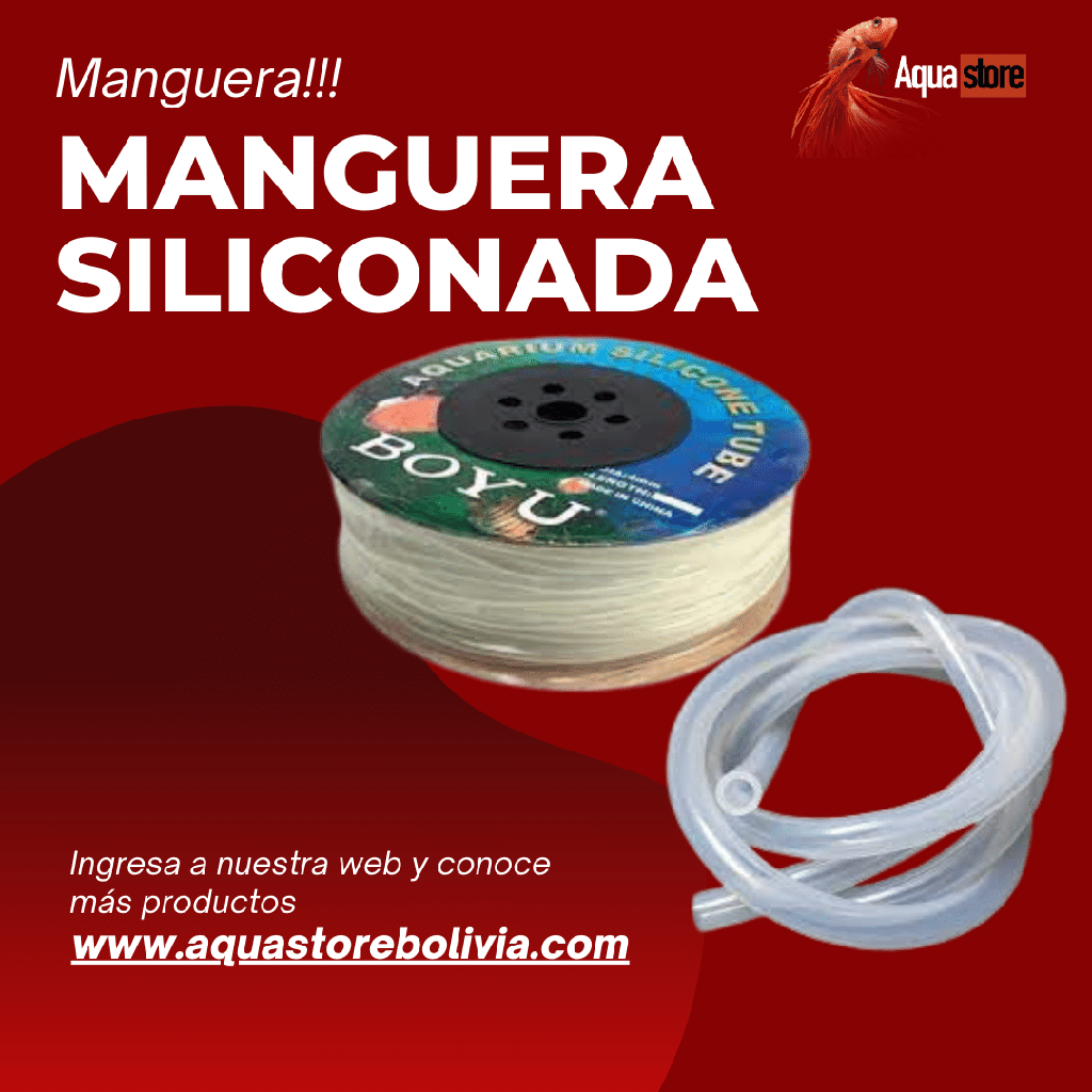 Manguera