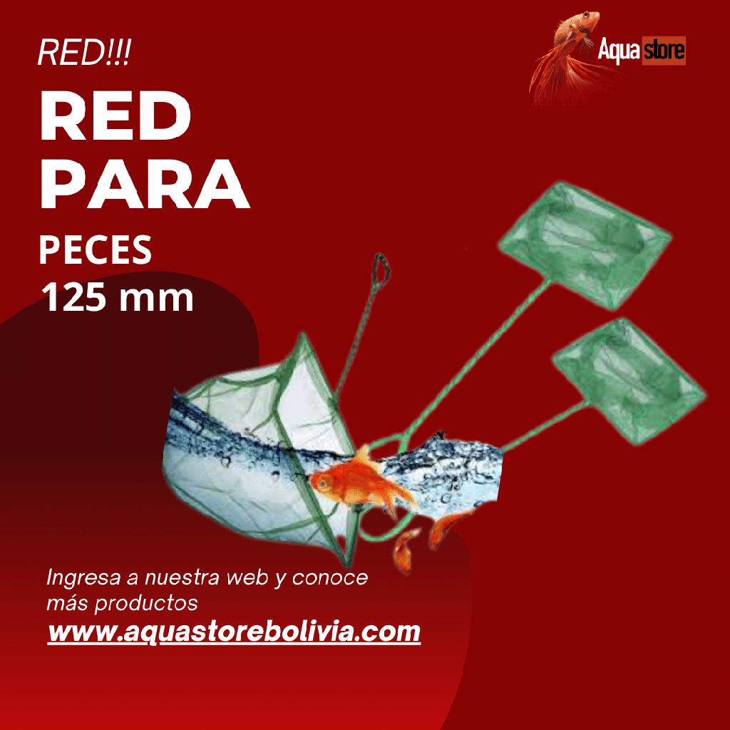 Red 12.5 pulgadas