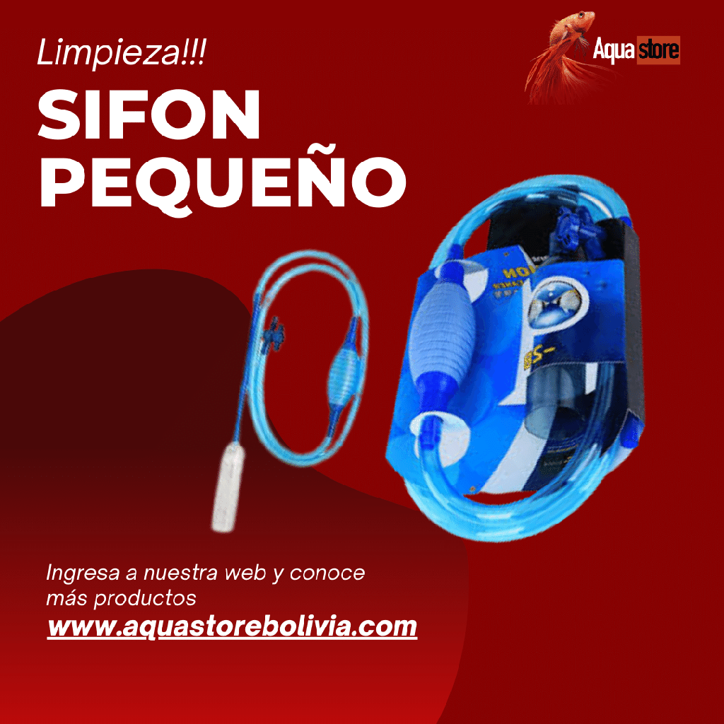 Sifón Pequeño