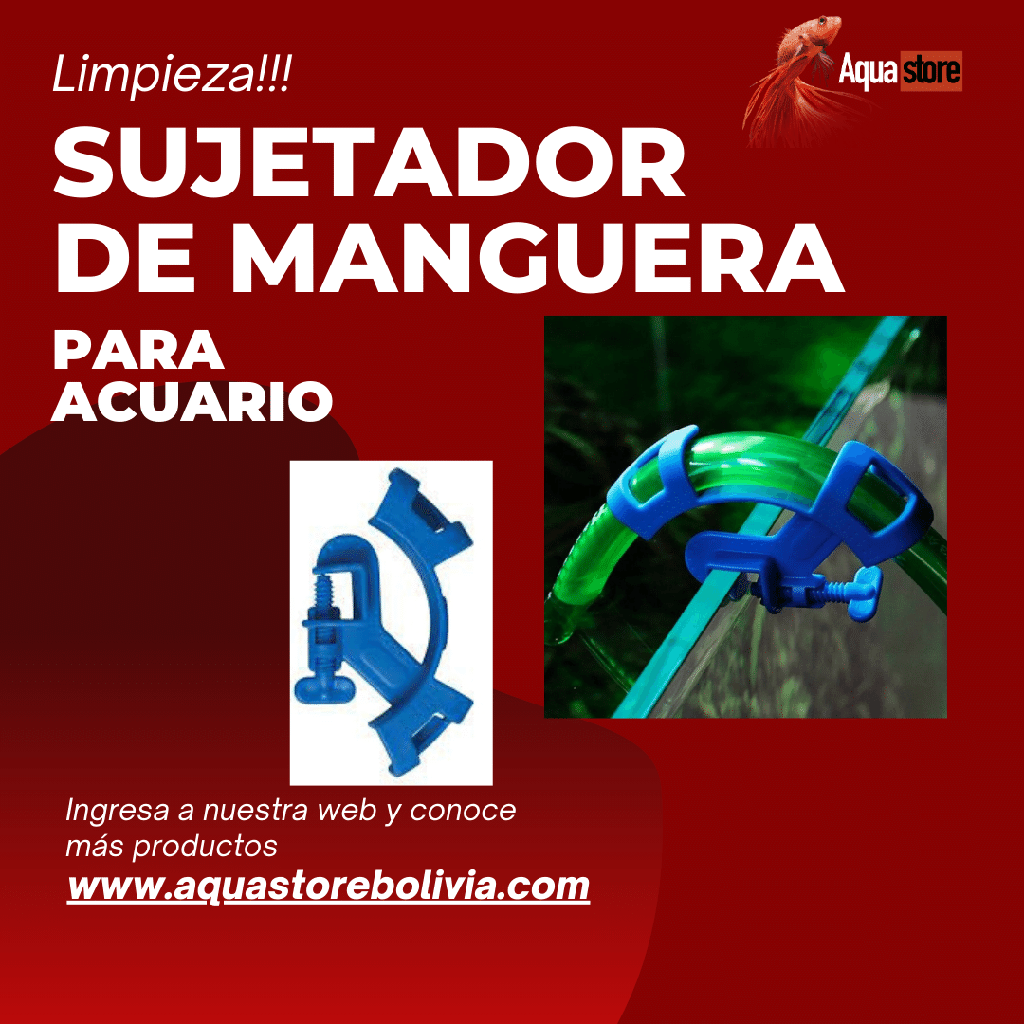 Sujetador de Manguera