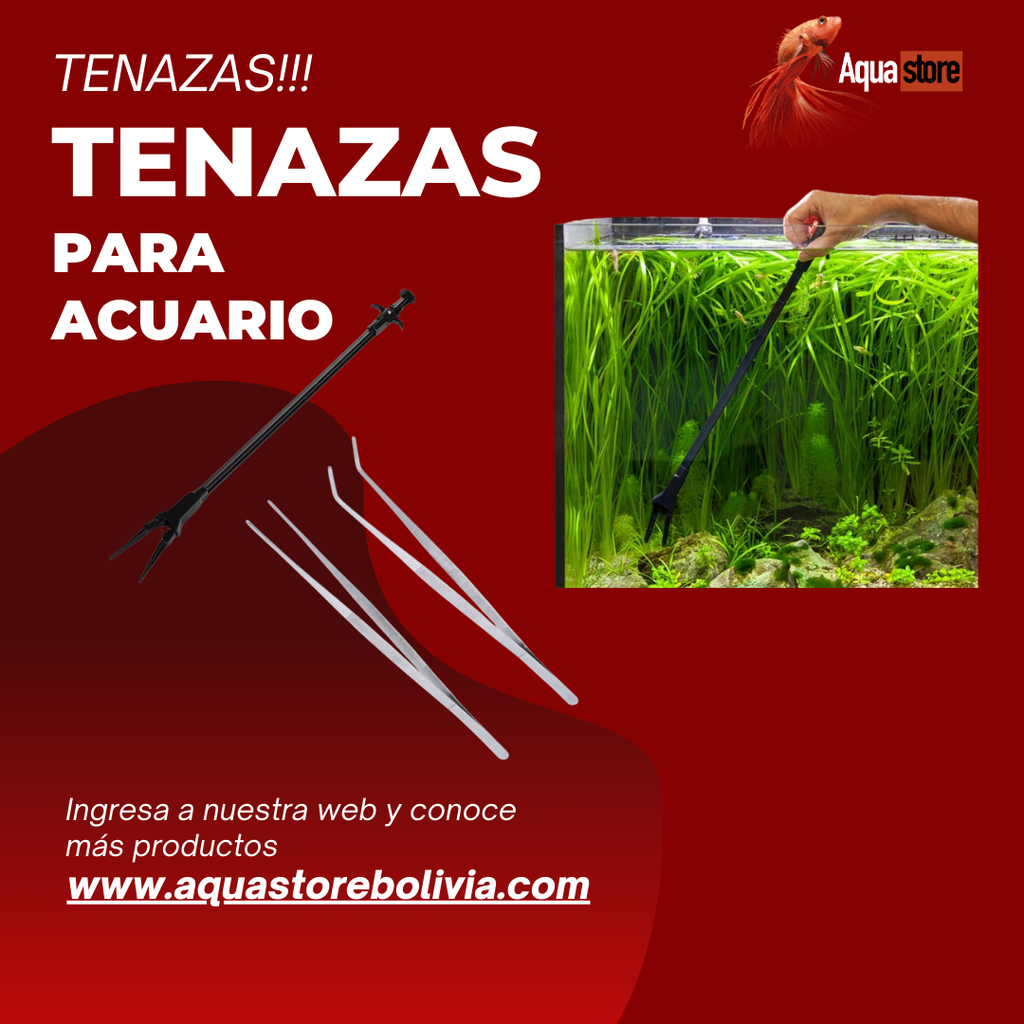 Tenazas