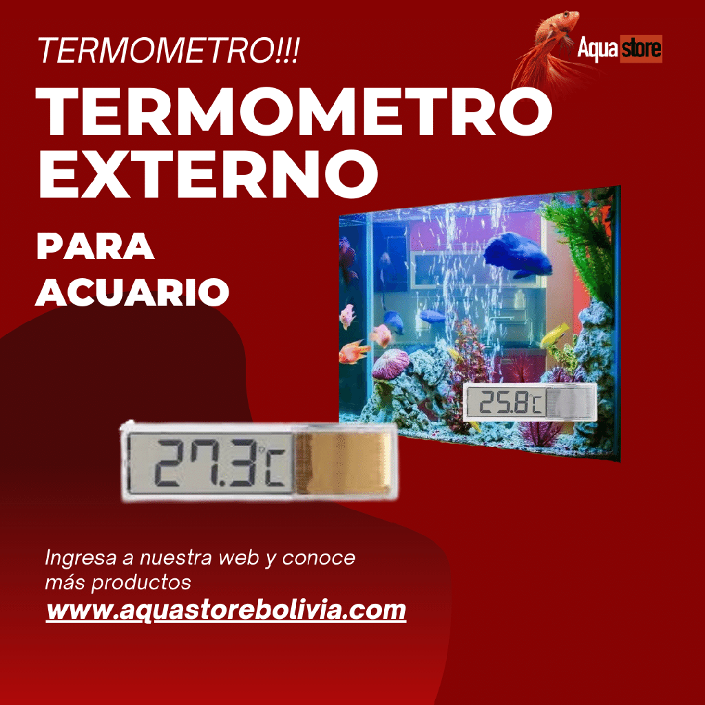 Termómetro