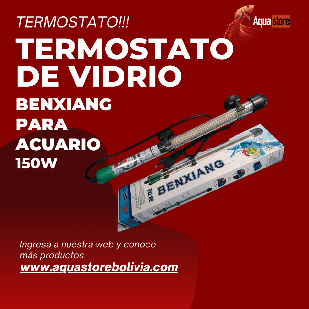 Termostato Benxian 150W