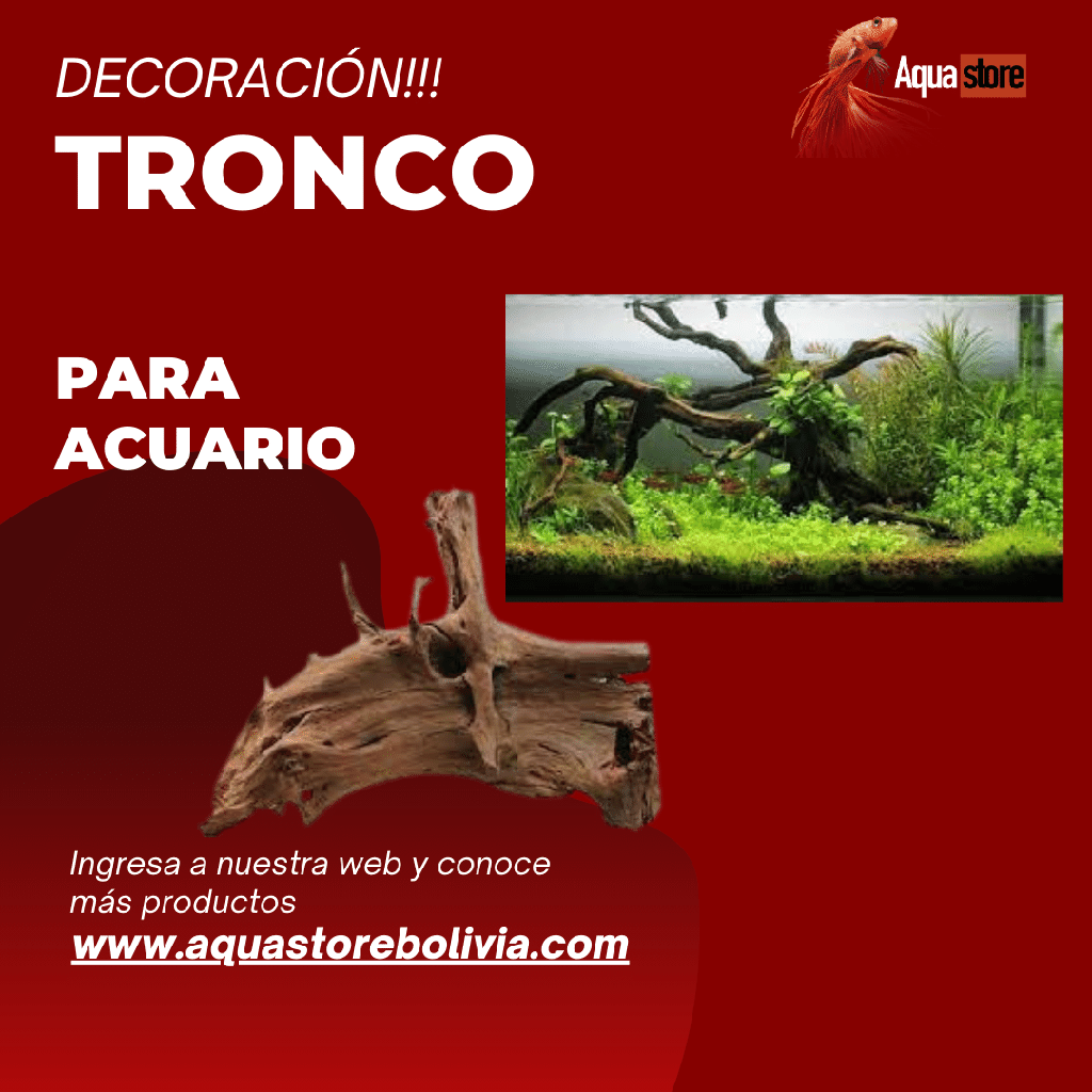 Troncos Decorativos