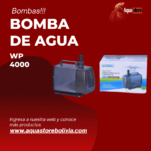 Bomba de Agua WP 4000