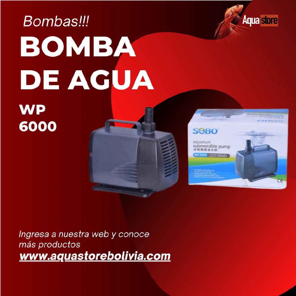 Bomba de agua WP 6000