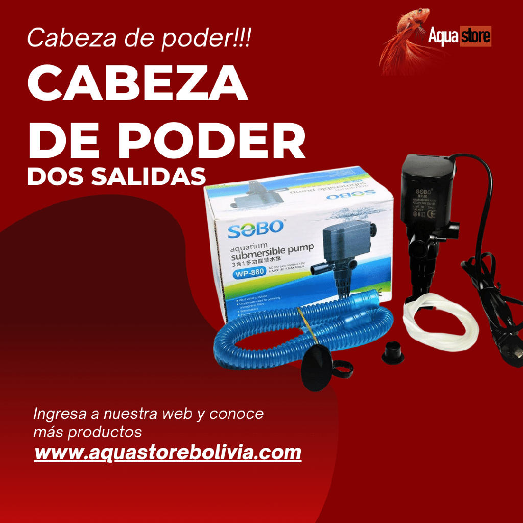 Cabeza de Poder dos salidas WP 880