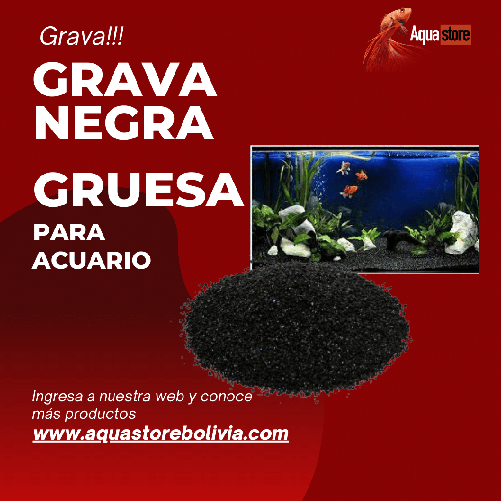 Grava Negra Gruesa natural