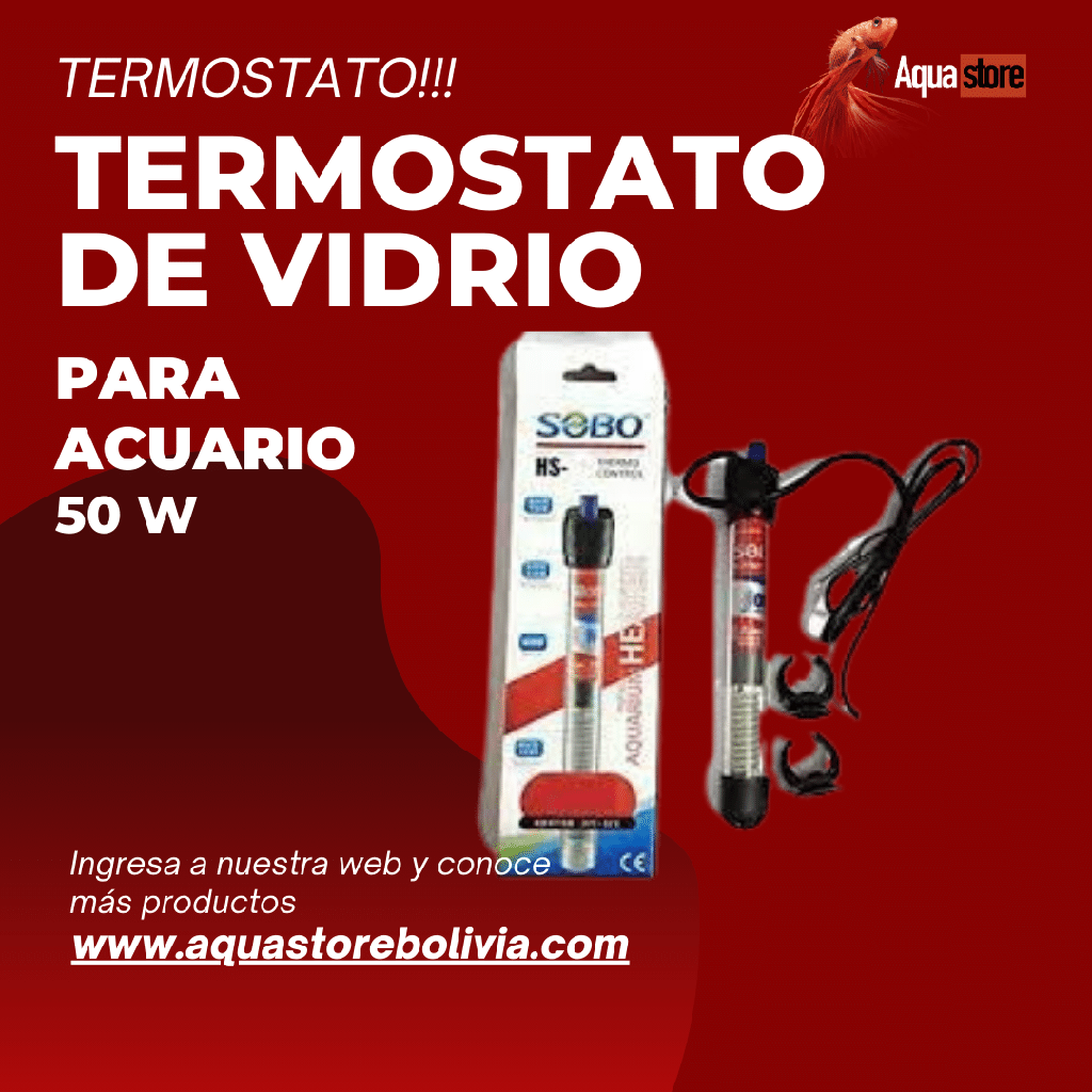 Termostato de Vidrio 50W