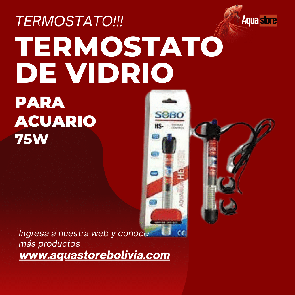 Termostato de Vidrio 75w