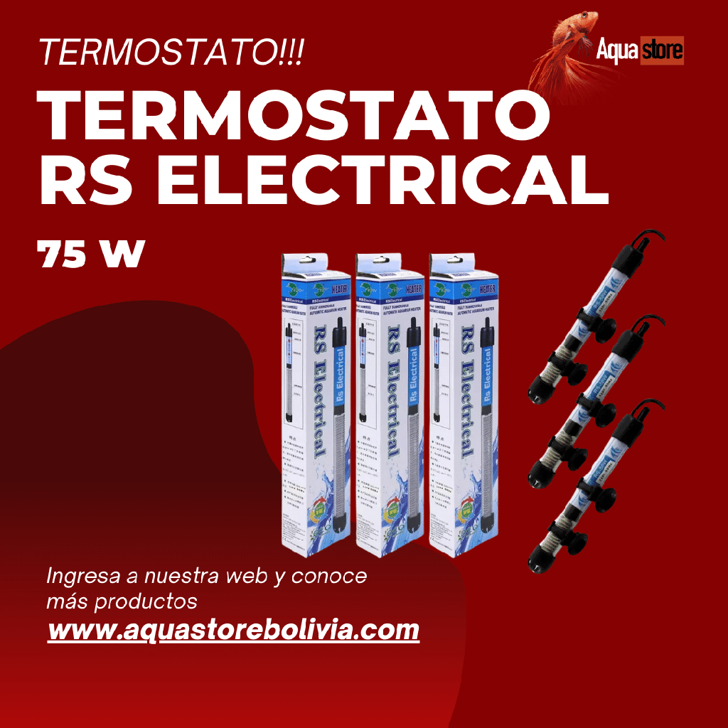 Rs Electrical Termostato75W