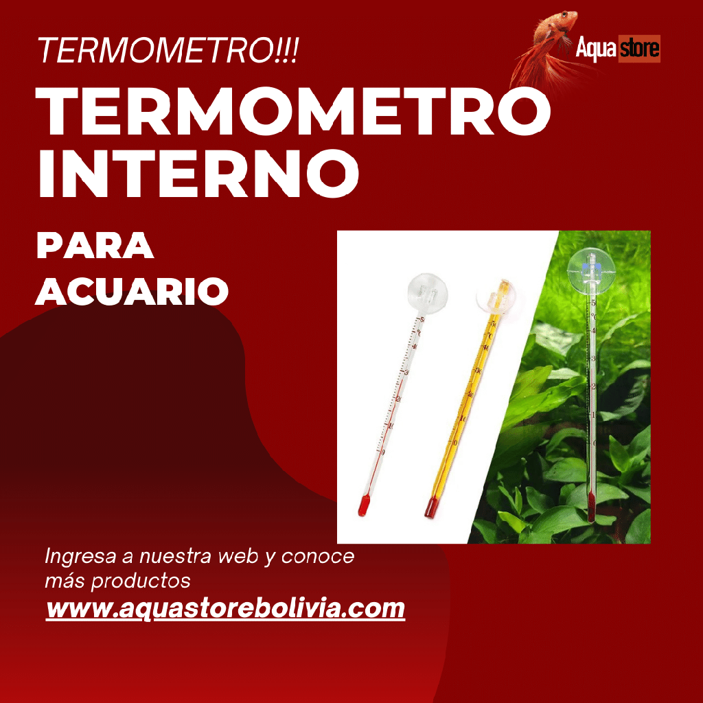 Termómetro Interior