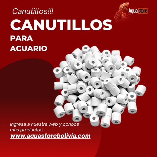 Canutillos