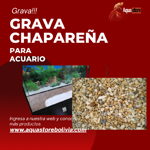 Grava Chapareña