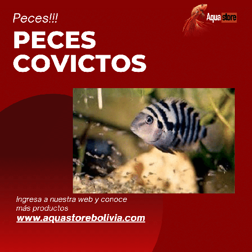 Peces Convictos