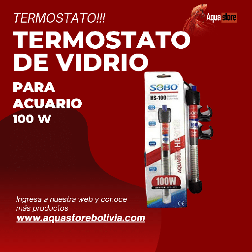 Termostato de Vidrio 100w