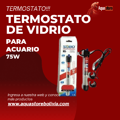 Termostato de Vidrio 75w